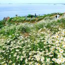 숙희공인중개사사무소 이미지