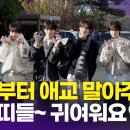 오션투어스 MBC연예