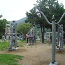 황령산 편백단지 이미지