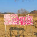코스모스리사이클링 이미지