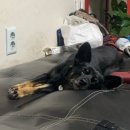 우정여인숙 | 251001~251102 일상 :: 무기력 끝 다시시작해보는 화이팅