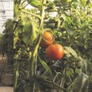 현영농장 이미지