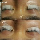 수성구 신매동 시지동 월드컵로 경산 고산 속눈썹 연장 속눈썹 펌 외 속눈썹의 모든 해결사