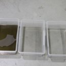 흥도로 454번길 이미지