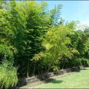 생각하는 정원 이미지