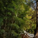 시냇가민박 | 입춘 맞이 아산 여행