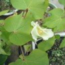 목화소아청소년과의원 이미지