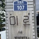 미르반점 이미지