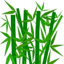 담양대나무축제 이미지