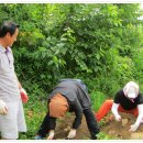 감물농장 이미지