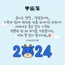 티아솔루션