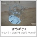 마이 펫테이블 이미지