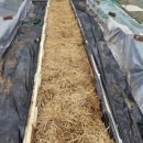 요한농장 이미지