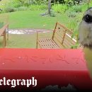 WE START BOXING GYM 이미지