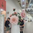 "26년/10/11(일)터울방/청계산산림욕장트레킹/멋깔지기 이미지