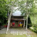 갤러리카페겸리 이미지