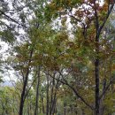 방곡3로 이미지