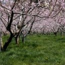 부야경로당 이미지