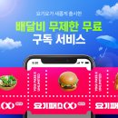 요기내 이미지