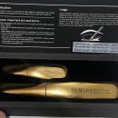 주식회사 젬소(GEMSHO) | 젬소 속눈썹 양양제 내 돈 내산 후기