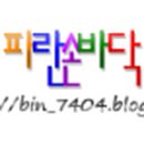 제이에스트래블 이미지
