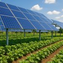 농업회사법인 웰팜넷(주) 태양광발전소 | 농식품부 영농형 태양광 도입방향 총정리 -제도 변화의 핵심과, 지금 에스알에너지가 필요한 이유