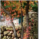 가없이좋은곳(주내자육원) 이미지