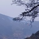 지리산 산불 현재상황 이미지