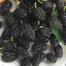 오디하우스 이미지