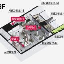 금성시장 이미지