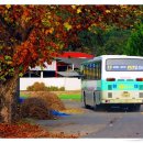 한정리마을회관 이미지