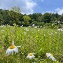 사화공원 이미지