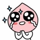 카페루아흐 이미지