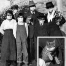 털복숭이친구들 이미지