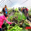 들꽃농장 이미지