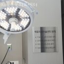 오주동물병원 이미지