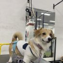 크로스핏 쿠타짐 영등포 이미지