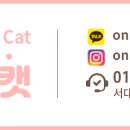 고양이분양 온리캣 이미지