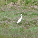 좌천마을회관 이미지