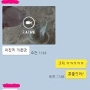 학바위목장2 | 학바위목장 다이어트간식 수제요거트 마셔본 뒤 솔직후기