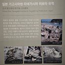 가이상사 | [부산] 국립해양박물관 - 조개, かい : 패각에 담긴 한국과 일본의 흔적