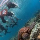 (주)초이스웰 | 세부 아이브리즈어학원 12주 솔직! 연수후기