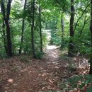 ◇ 2021.06.19(토) 백신 맞고 삼일째 되는 날, 컨디션 점검을 위해 &#39;의주길&#39;을 걷다. 이미지