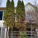 MBC공인중개사사무소 이미지