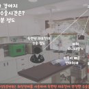 헬리오동물병원 이미지