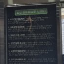 약초 | 경기 이천하이닉스맛집 심마니네약초백숙 후기