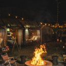 애견가족 이미지