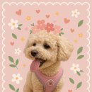 대경석유 이미지