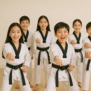 철산비룡태권도장 이미지