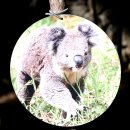 스테이오 이미지